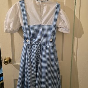 Blue and White Gingham Dress